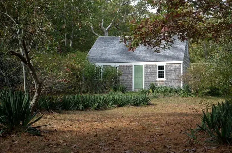 Нэнси Люс прожила всю свою жизнь в фермерском доме у бухты Тиа в Западном Тисбери