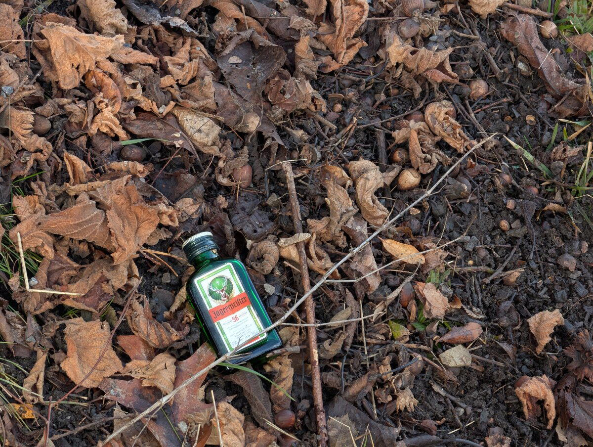 Замена боярышнику, повсюду валяется.