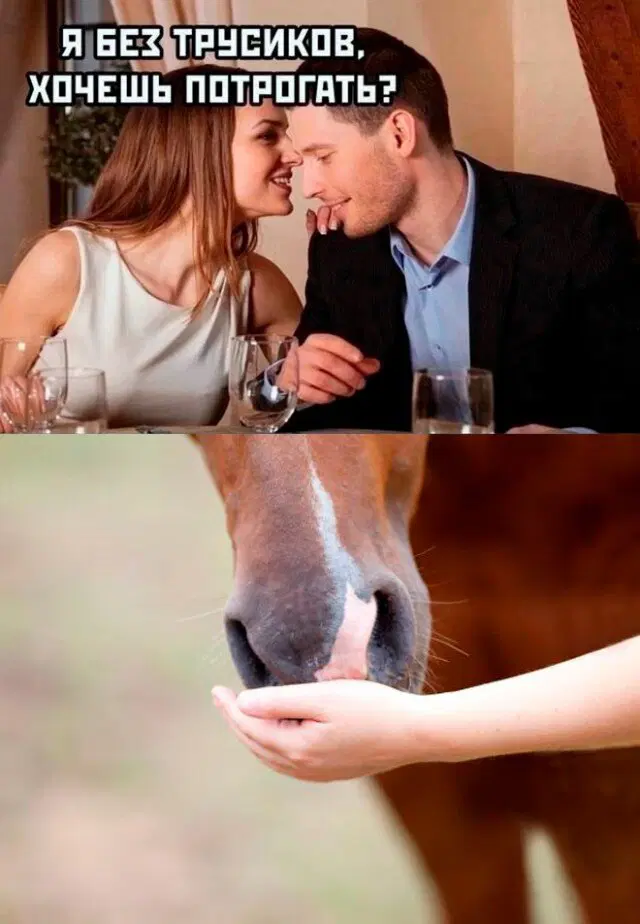 Дички может?