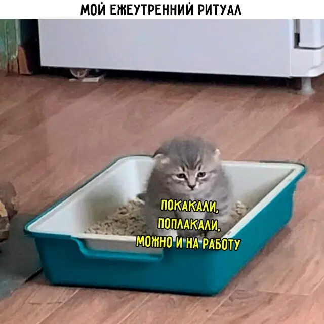 Дички может?