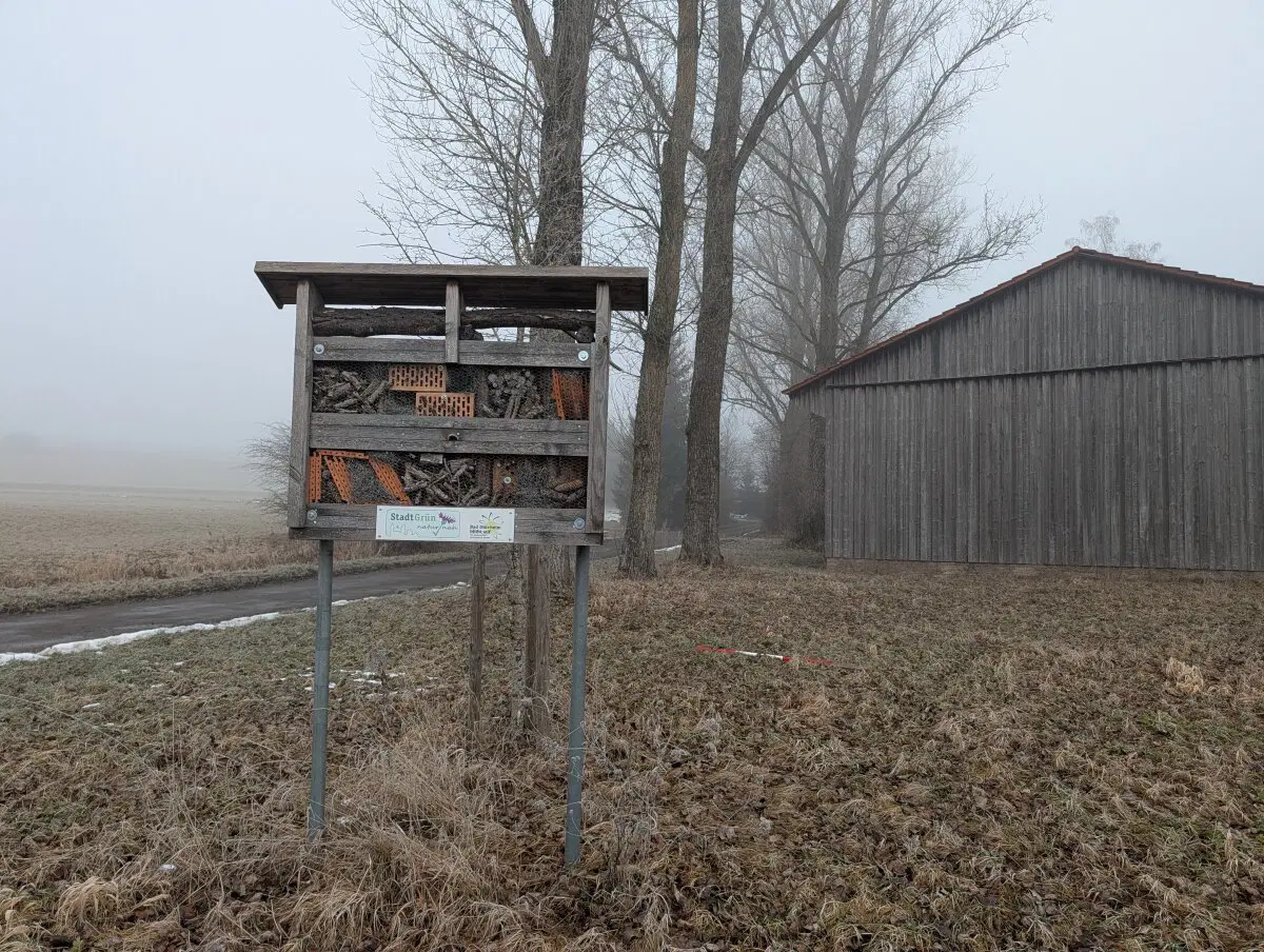 Не понимаю, что это? 