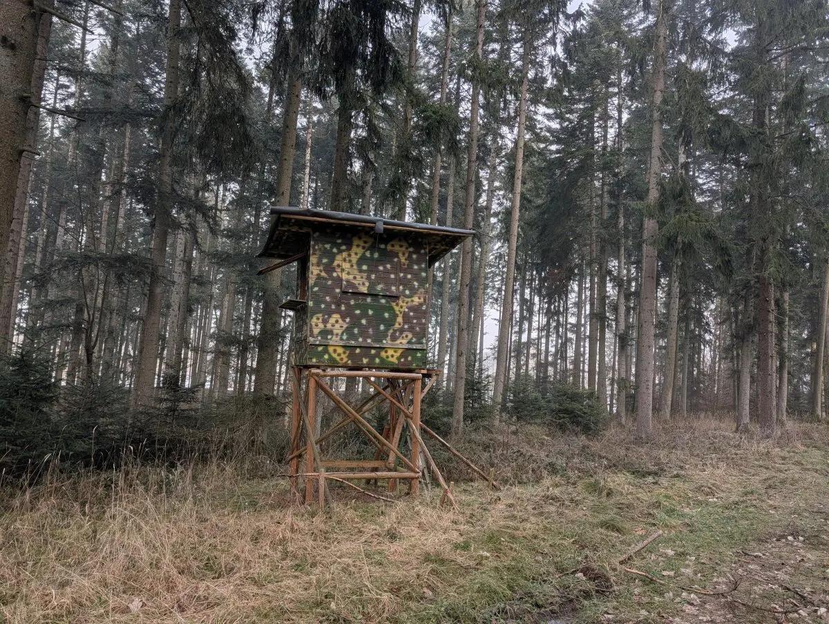 Стоят их домики.