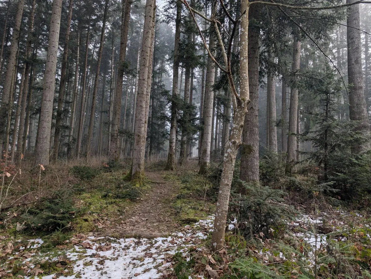 Зундхаузен.