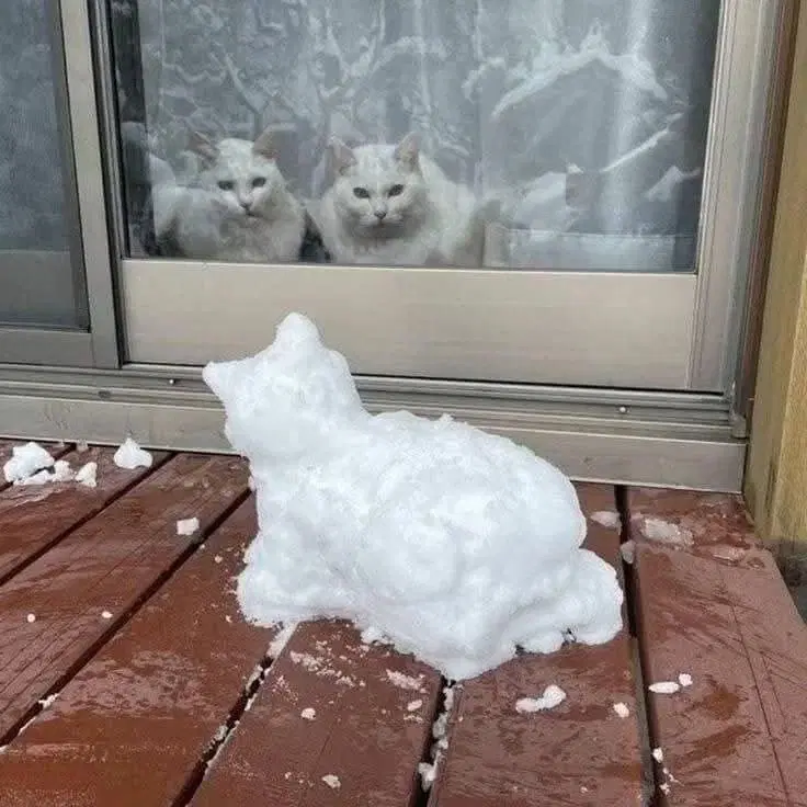 С дичкой в новую неделю