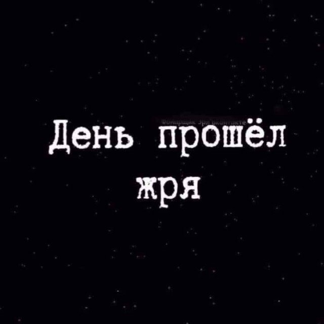 С дичкой в новую неделю