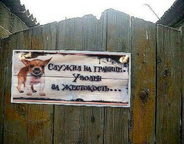 С дичкой в новую неделю