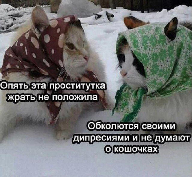 С дичкой в новую неделю