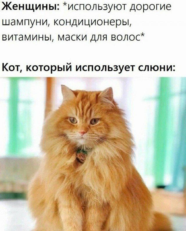 С дичкой в новую неделю