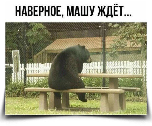 С дичкой в новую неделю