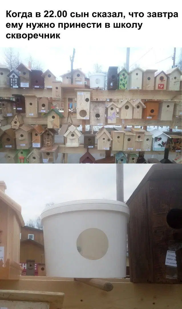 Дичька на разогрев