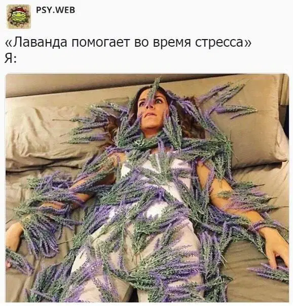 Дичька на разогрев