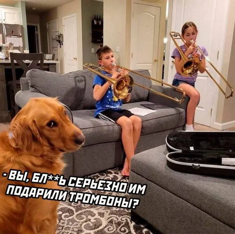 Дичька на разогрев