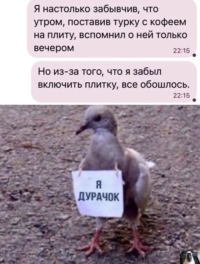 Дичька на разогрев