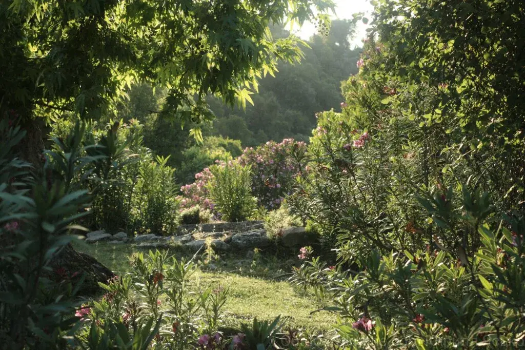 Ивент Вомбата. Слово недели - Трамплин.