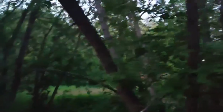 Ивент Вомбата. Слово недели - Трамплин.