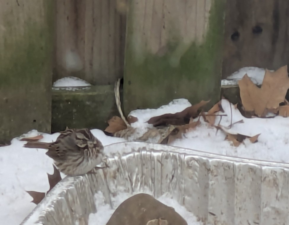Маленькое доброе дело зимой