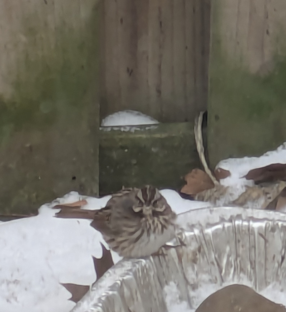 Маленькое доброе дело зимой