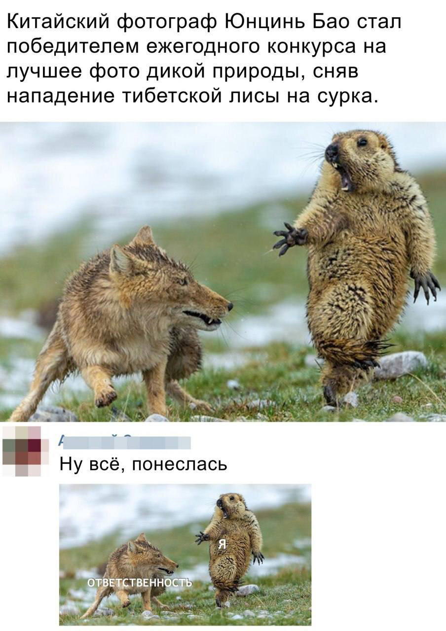 Диченька