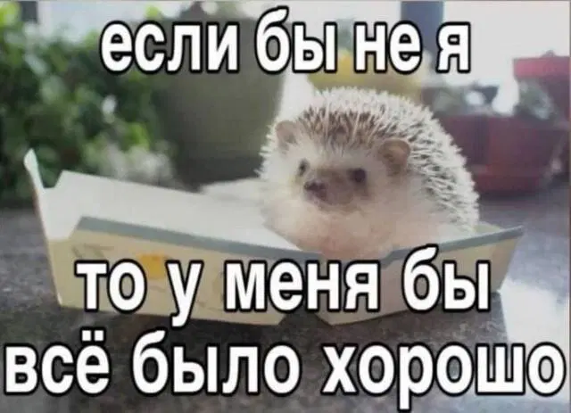 Дичный вторник часть втородичная