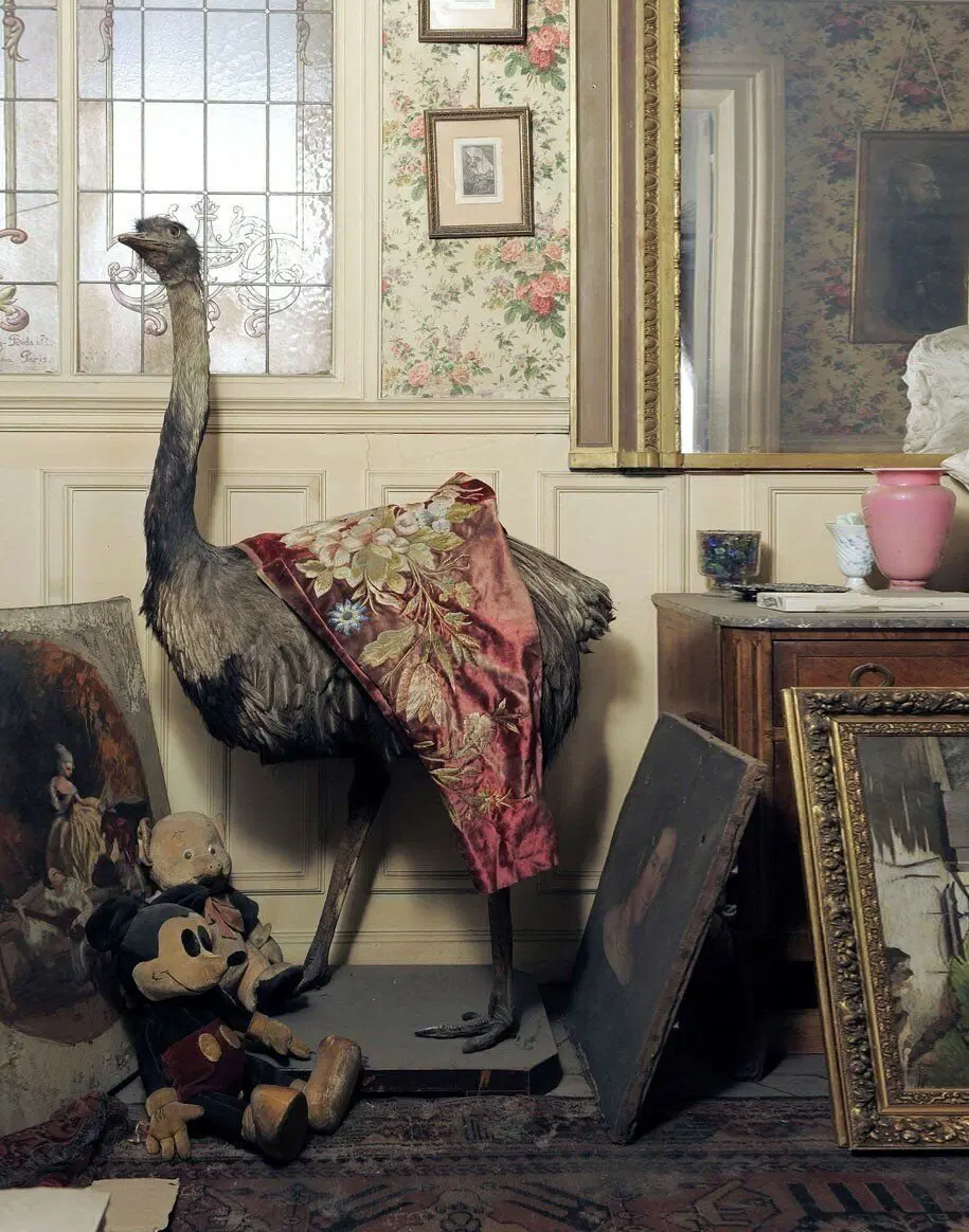 Внутри квартиры. Источник фотографии: AFP/Getty