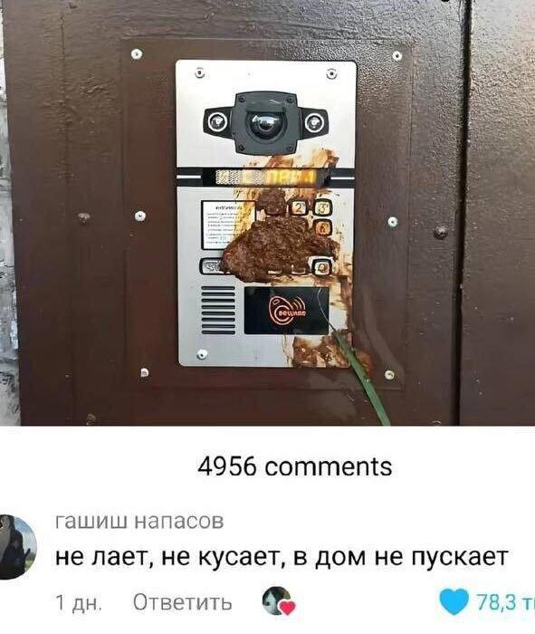 Маленько дички
