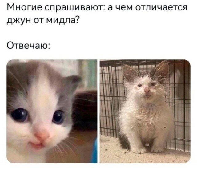 Маленько дички