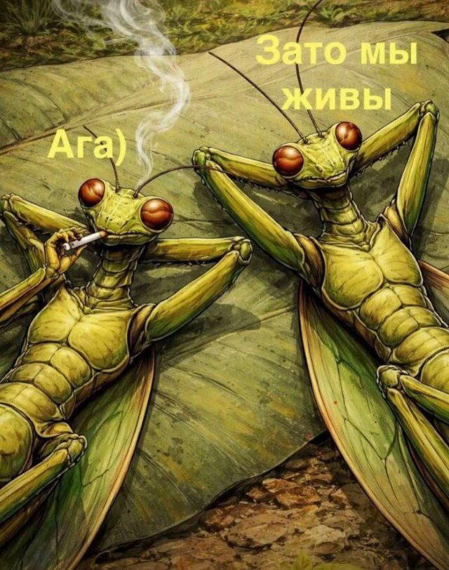 Маленько дички