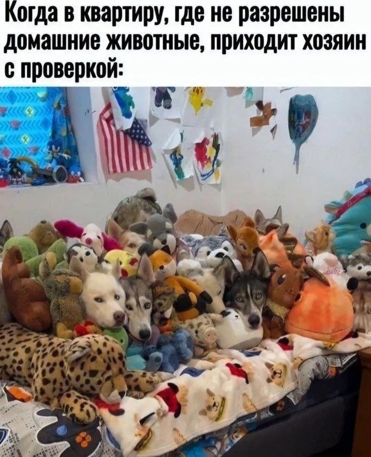 Дички нужно ящик дички