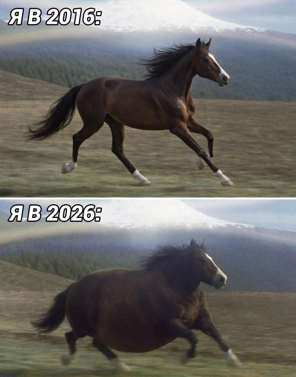 Дички нужно ящик дички