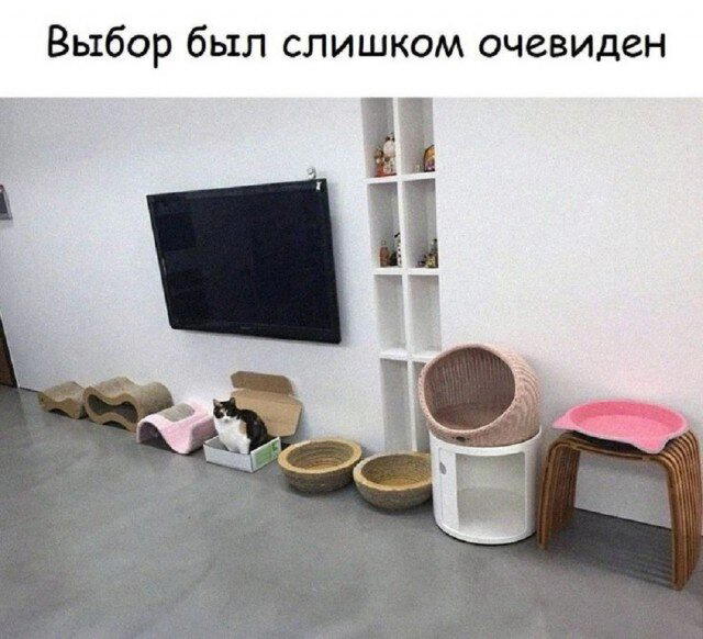 Дички нужно ящик дички