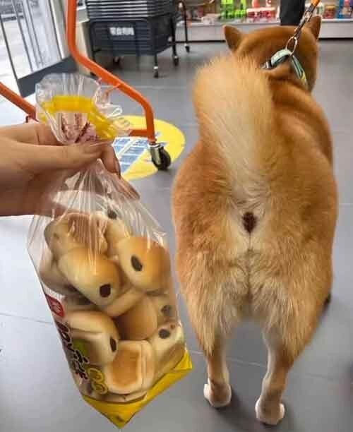 Дички нужно ящик дички