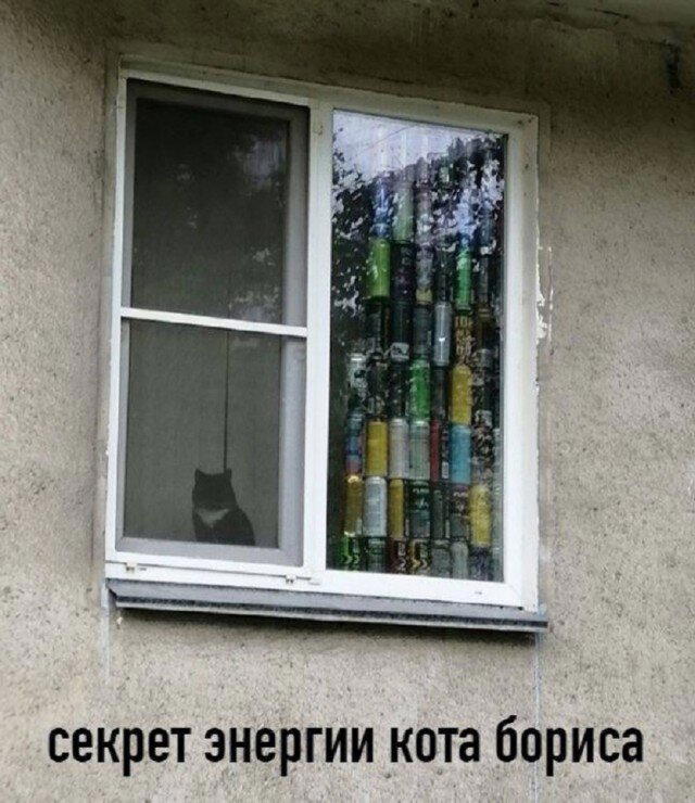 Дички нужно ящик дички