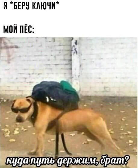 Дички ящик на пятницу