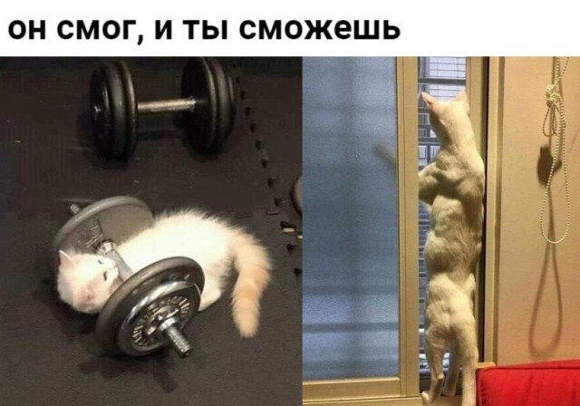 Дички ящик на пятницу