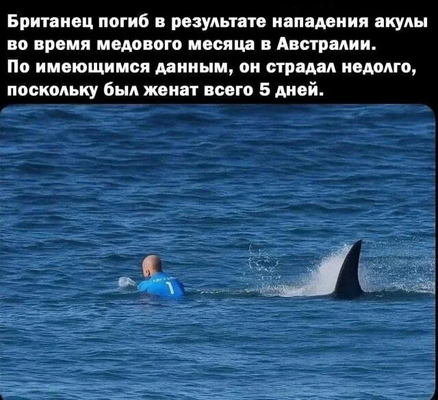 Дички ящик на пятницу