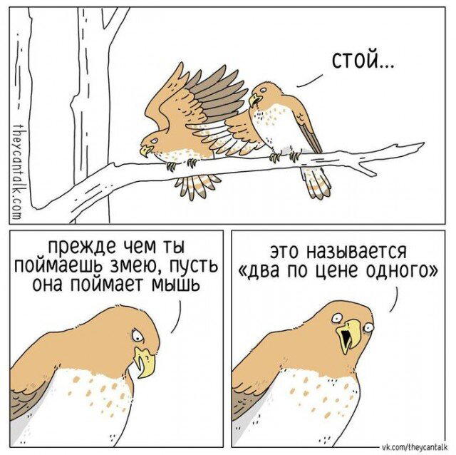 И здравствуйте выходные, отдыхаем с дичкой