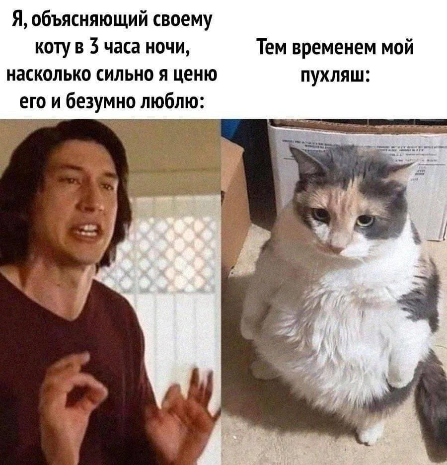 И здравствуйте выходные, отдыхаем с дичкой