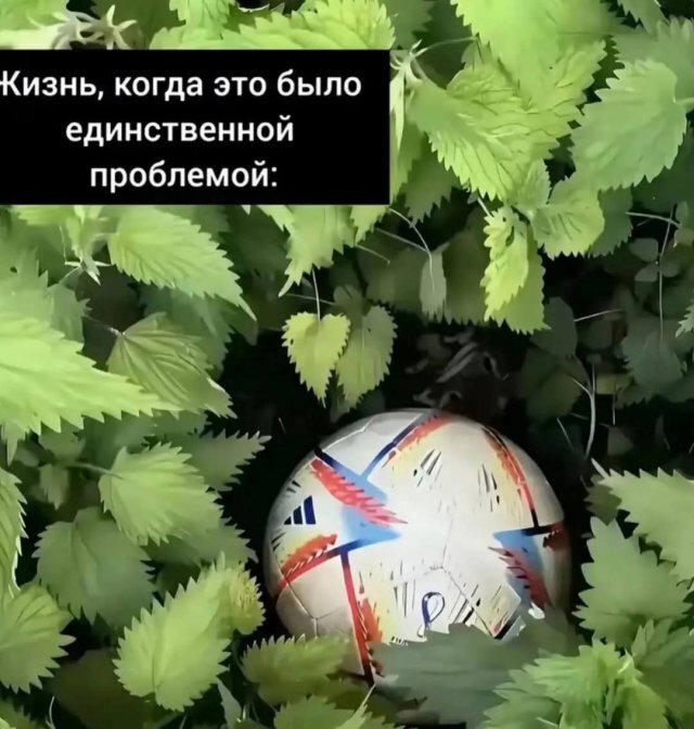 Дичи для отдыха глазок