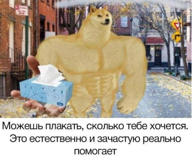 Дичи для отдыха глазок