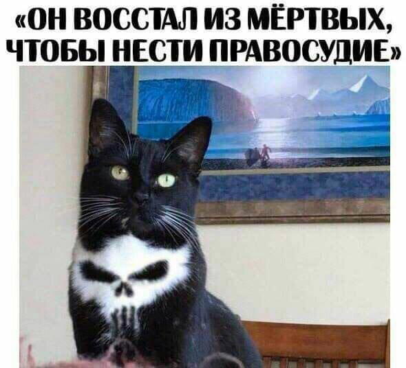 Дичи для отдыха глазок