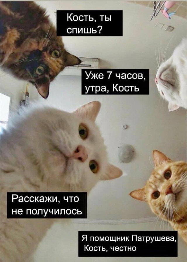 Дичи для отдыха глазок