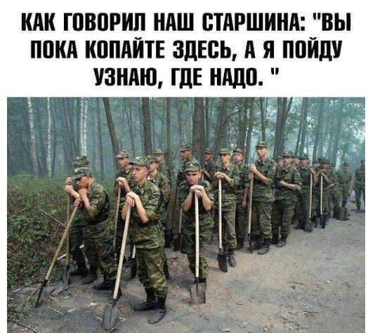 Дичи для отдыха глазок