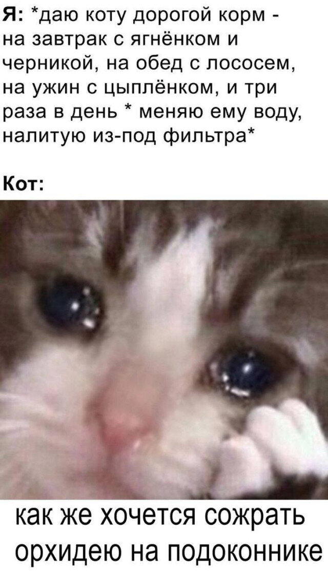 Дичи для отдыха глазок