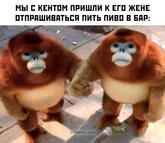 Дичи для отдыха глазок