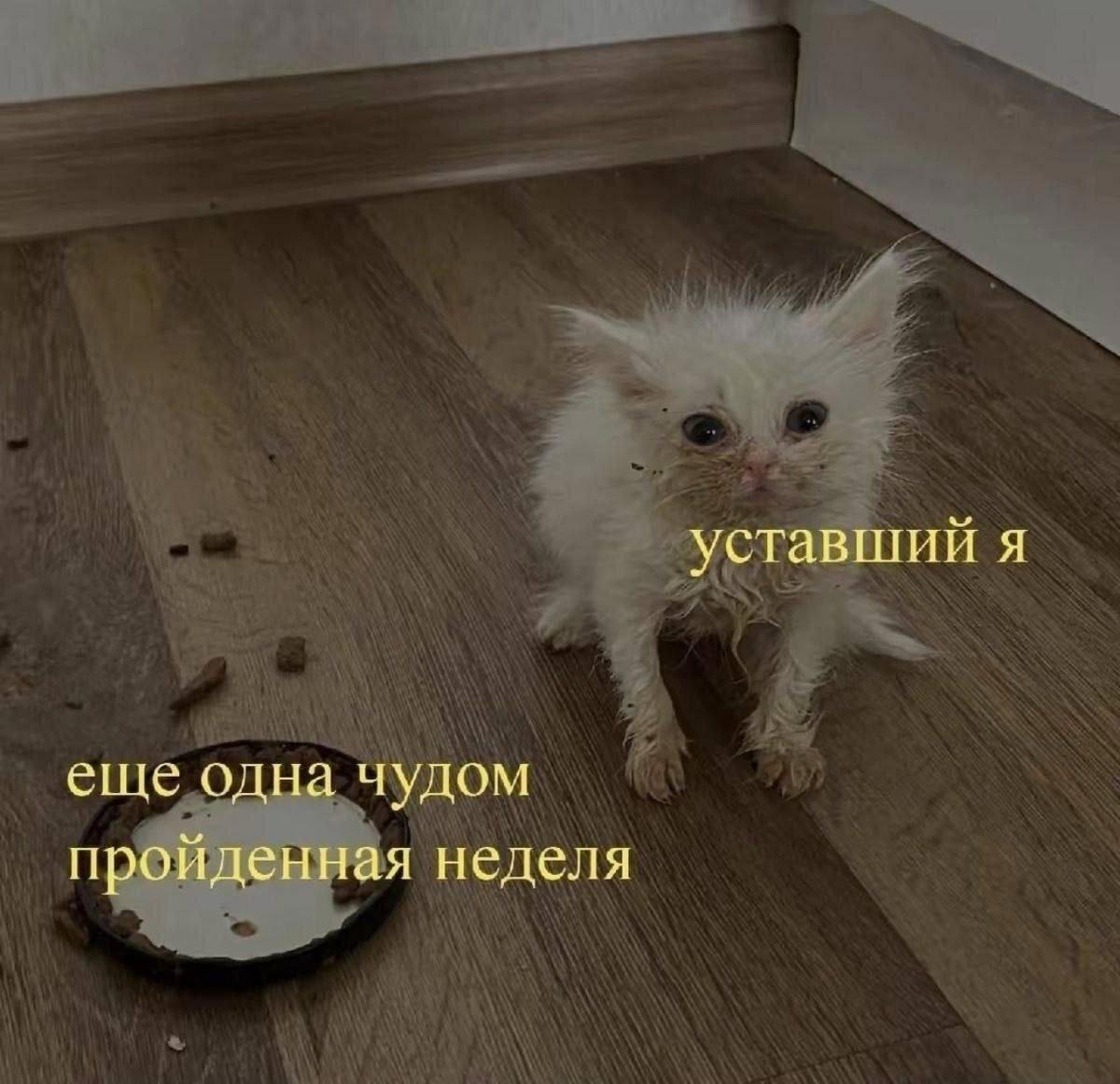 Дичи для отдыха глазок