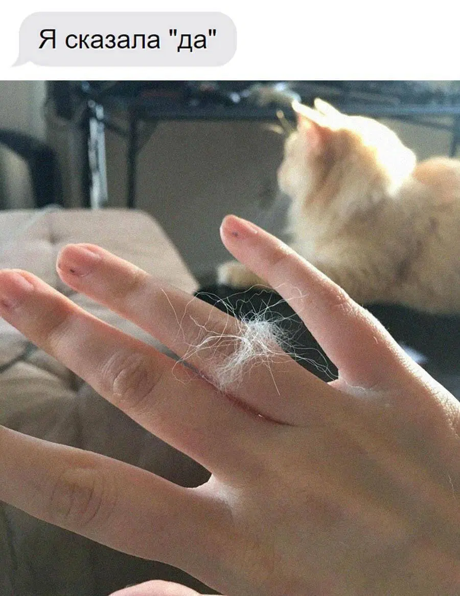 Дичи на воскресный отдых