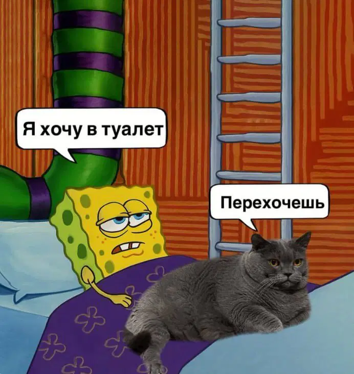 Дичи на воскресный отдых