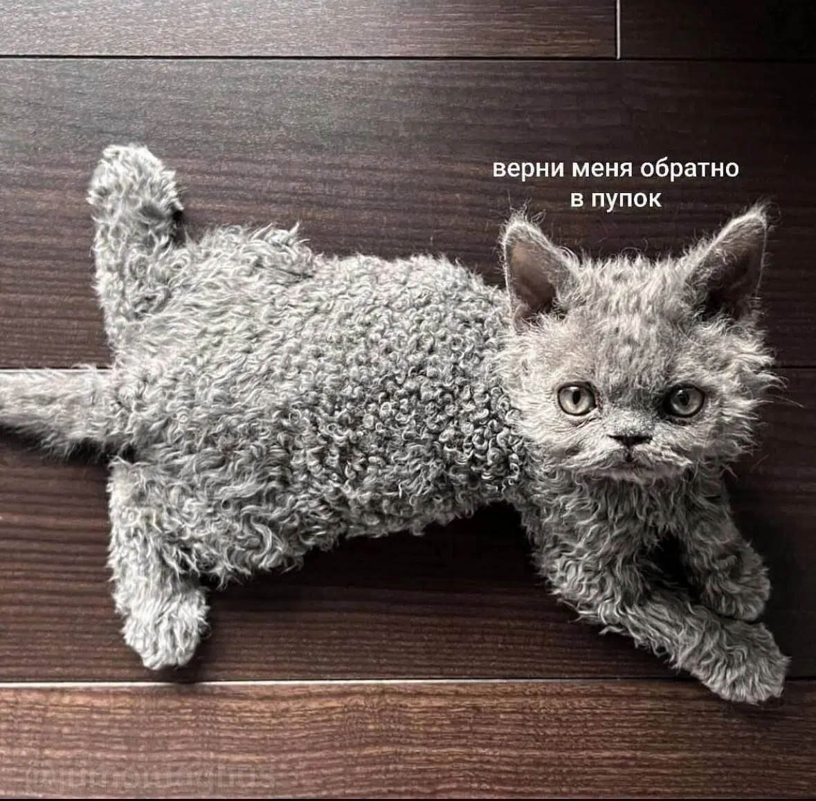 Дичи на воскресный отдых