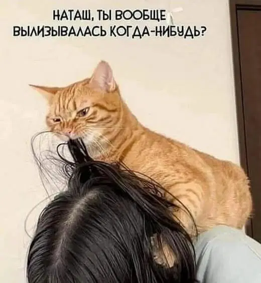 Дичи на воскресный отдых