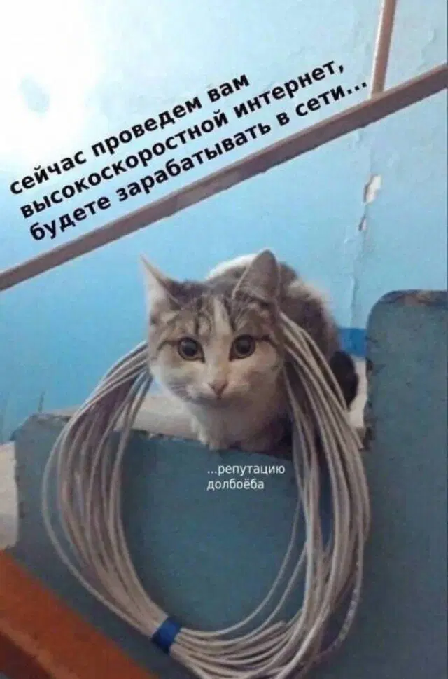 Дичи на воскресный отдых